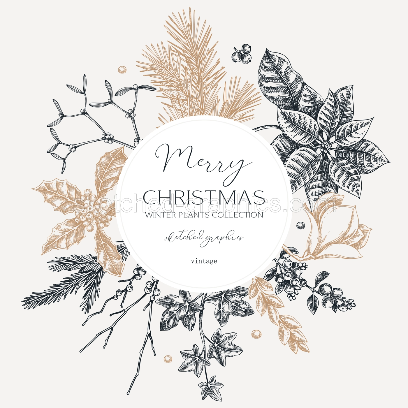 Vintage Christams card template. Winter holiday wreath design. Conifer trees, winter flowers sketches. Hand-drawn botanical illustration. NOT AI generated Illustration